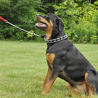 Mayerzon Collar de entrenamiento para perro, acero inoxidable, con puntas cómodas - BESTMASCOTA.COM