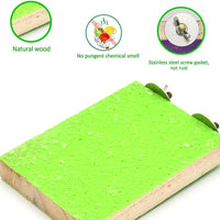 Colorful Bird Perch Stand Platform Natural Wood Playground Paw Grinding Clean for Pet Parrot Budgies Parakeet Cockatiels Conure Lovebirds Rat Mouse Cage Accessories Exercise Toys (4 Color) - BESTMASCOTA.COM