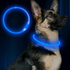 BSEEN Collar LED para perro, recargable por USB, collar brillante para perro para la seguridad nocturna, collar de moda para perros pequeños, medianos y grandes - BESTMASCOTA.COM