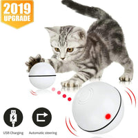 Pakoo Juguete interactivo para gato, juguete de gatito con ruedas automático, bola de movimiento recargable por USB, luz LED giratoria con función de temporizador, el mejor regalo para tu gatito - BESTMASCOTA.COM