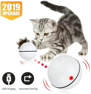 Pakoo Juguete interactivo para gato, juguete de gatito con ruedas automático, bola de movimiento recargable por USB, luz LED giratoria con función de temporizador, el mejor regalo para tu gatito - BESTMASCOTA.COM