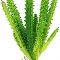 SLSON - Adorno para plantas de reptiles, decoración de terrario, cactus de plástico, para decoración de plantas de Lizard Gecko - BESTMASCOTA.COM