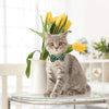 KOOLTAIL Bowtie Collar de gato con campana, 3 unidades de collares ajustables estilo japonés Kimono Ninja para gatos, gatitos, cachorros - BESTMASCOTA.COM