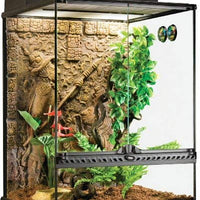 Exo Terra - Terrario de vidrio estilo maya, pequeño y alto - BESTMASCOTA.COM