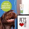 oxyfresh Pet con oxygene – Soothing, Gel de enfriamiento de gel para puntos calientes, Rash y prurito – Pasta de dientes para perros y gatos – Caja perfecta para Oral y uso externo – fabricado en los Estados Unidos - BESTMASCOTA.COM