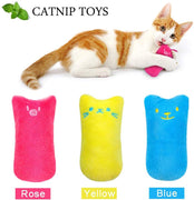 AINOLWAY Juguetes de gato interactivos divertidos para gatito gatito gato gato mimbre dentición masticar 3 piezas - BESTMASCOTA.COM