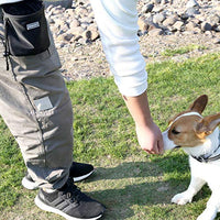 Vivaglory - Bolsa de regalo para perros con manos libres y cintura ajustable y dispensador de bolsas de residuos para perros, 2 maneras de llevar - BESTMASCOTA.COM