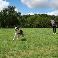 Hi Kiss - Correa de entrenamiento para perro/cachorro de obediencia para entrenamiento de agilidad – 15 ft 20 ft 30 ft 50 ft  – ideal para entrenamiento, juego, camping o patio trasero - BESTMASCOTA.COM