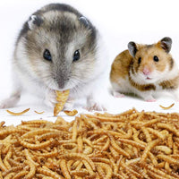 JARDTEC sin OMG para comidas secas – 100 % naturales para aves pollos, erizo, hámster, peces reptiles tortugas (2) - BESTMASCOTA.COM