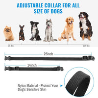 petrainer PET998DRB2 Collar de entrenamiento recargable para perro, impermeable, mando a distancia de alcance 330 yardas, collar de choques, vibra y choque electrónico - BESTMASCOTA.COM