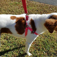 Arnés ajustable Pupteck para perro, medida básica de cachorro, de nailon, chaleco para pasear en exteriores con etiqueta de identificación - BESTMASCOTA.COM