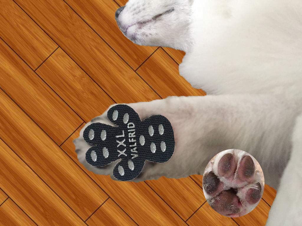 VALFRID - Almohadillas antideslizantes para patas de perro, antideslizantes, para suelos de madera dura, autoadhesivas, resistentes a perros, calcetines, calcetines, correas de repuesto - BESTMASCOTA.COM