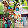 AGECASH - Cuenco plegable para perros, de silicona portátil, para viajes, ampliable para alimentar al agua de los alimentos, para el perro, gato, cuenco de viaje portátil para camping - BESTMASCOTA.COM