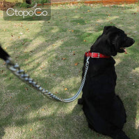 CtopoGo - Correa de metal para perro con asa acolchada para perros grandes y medianos - BESTMASCOTA.COM