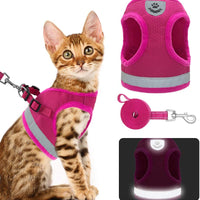 Juego de arnés y correa para gato, a prueba de escape, arneses ajustables para mascotas, para caminar, suave de malla de panal de abeja, arnés con correa reflectante que proporciona seguridad en la noche - BESTMASCOTA.COM