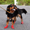 LFPET Calcetines de algodón para control de tracción, para perros de interior, antideslizantes, 5 pares, color al azar - BESTMASCOTA.COM