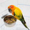 Comedero para semillas de pájaros, para mascotas, de acero inoxidable, con soporte de abrazadera para loros medianos y grandes, conos solares, caique, cacatúa, gris africano, macaws, Amazon - BESTMASCOTA.COM