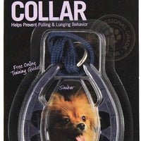 Collar Star Mark Pro para entrenamiento de perros, s, Azul - BESTMASCOTA.COM