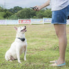 Pet Union PT0Z1 collar de entrenamiento para perros, totalmente impermeable, rango de 1200 pies - BESTMASCOTA.COM