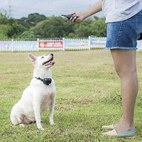 Pet Union PT0Z1 collar de entrenamiento para perros, totalmente impermeable, rango de 1200 pies - BESTMASCOTA.COM