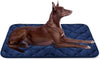 Colchón antideslizante lavable para perros grandes, medianos y pequeños - BESTMASCOTA.COM