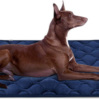 Colchón antideslizante lavable para perros grandes, medianos y pequeños - BESTMASCOTA.COM