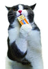 INABA Churu Lickable Purée Natural Cat Treats - BESTMASCOTA.COM