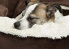Cama acogedora Best Friends by Sheri, cama de lujo para perros y gatos con cobija, cálida y segura. Brinda apoyo para la cabeza, el cuello y las articulaciones, lavable a máquina, parte inferior resistente al agua - BESTMASCOTA.COM