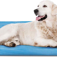 JoicyCo - Cama para perro, almohadilla 35/42/47 en camas lavables, colchón suave para perro, almohadillas antideslizantes para perrera, color de lujo - BESTMASCOTA.COM