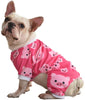 Pijama de perro CuteBone Lindo Gato Ropa de mascota Pjs Onesie - BESTMASCOTA.COM