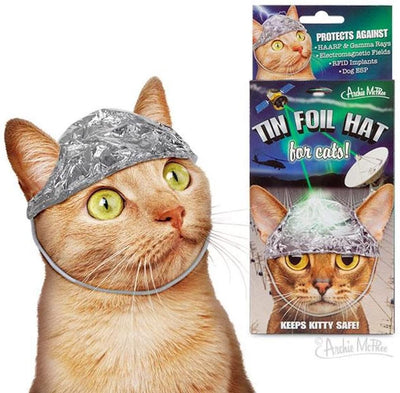 Archie McPhee - Sombreros de hojalata para gatos, diseño con texto 