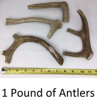 Piezas de asta de ciervo Antler Man premium masticables para perros, vendido por The Pound - BESTMASCOTA.COM