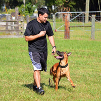 FANZO silbato ultrasónico para perro, silbatos de entrenamiento para perros con frecuencias ajustables, dispositivos de control de corteza para perros (2 unidades), Paquete de 2, Azul - BESTMASCOTA.COM