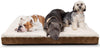 Paws & Pals Cama ortopédica de espuma para mascotas perros y gatos, suave cojín acolchado, alfombrilla rectangular encaja en la cama, jaula o transportadora, varios tamaños, XL, Beige - BESTMASCOTA.COM