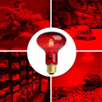 Bombilla infrarroja de calentamiento de luz roja de 75 W para mascotas 50 W UVA Spot Heat Lamp para reptiles y anfibios – Lizard Tortuga Snake Chameleon 2 unidades - BESTMASCOTA.COM