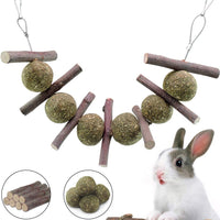 YouJia Timothy - Palitos para masticar - BESTMASCOTA.COM