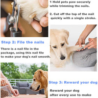 Dog Nail Clippers Pet Nail Trimmers Nail File Set Razor Sharp Blades Safety Guard Sturdy Non Slip Handles Professional Grooming Tool for Large and Small Animals Vet Recommended (BIUE1) - BESTMASCOTA.COM