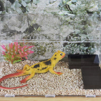 omem gusano plato Mini reptil comida y tazón de agua 2 en 1 - BESTMASCOTA.COM