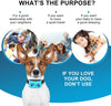 TOTIE Collar de corteza para perro – 7 niveles de sensibilidad e intensidad ajustables, modos de resistencia duales, recargable, resistente a la lluvia, reflectante, sin control de ladridos para perros pequeños, medianos y grandes., s, Azul - BESTMASCOTA.COM
