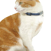 red dingo reflectante cuello de gato, talla única, Rosa - BESTMASCOTA.COM