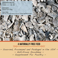 Oyster Shell – Crushed – 4lbs - BESTMASCOTA.COM