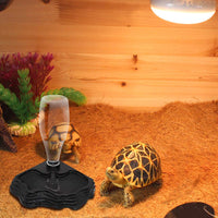 SLSON - Dispensador automático de agua para reptiles, 13.5 onzas, accesorio de alimentación para tortuga, dragones barbudos, lagartos para tanque de terrario - BESTMASCOTA.COM