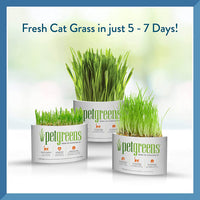 Pet Greens Self-Grow Pet Grass Kit
