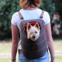 Pet Ego Lenis Pack Pet Carrier Mochila por Emanuele Bianchi, L, Marrón/Naranja - BESTMASCOTA.COM