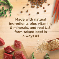 Rachael Ray Nutrish Premium Natural Dry Dog Food, Real Beef, Pea, & Brown Rice Recipe, 40 Pounds - BESTMASCOTA.COM