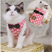 Stock Show - Chaleco arnés para gatos y perros con correa a juego con un bonito lazo, correa desmontable Reteo estilo británico arnés para cachorros medios, perros y gatos - BESTMASCOTA.COM