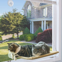 Noyal - Cama de seguridad para gatos con ventosas resistentes y duraderas para gatos, con capacidad para hasta 30 libras (extra 2 ventosas) - BESTMASCOTA.COM