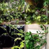 Juego de hamaca de dragón barbudo de Lizard con fibras de césped natural para mascotas, reclinable para mascotas con curvatura flexible y rama, para escalada en la selva para geckos, iganas, cangrejos ermitañales, serpientes y más reptiles - BESTMASCOTA.COM