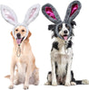 RYPET - Juego de 2 orejas de conejo de Pascua para perros y gatos pequeños a grandes - BESTMASCOTA.COM