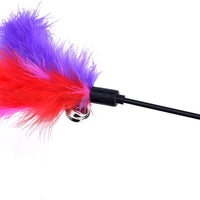 bingpet gato Juguetes color varían Feather Teaser y Exerciser Varita Para Gato Y Kitten - BESTMASCOTA.COM
